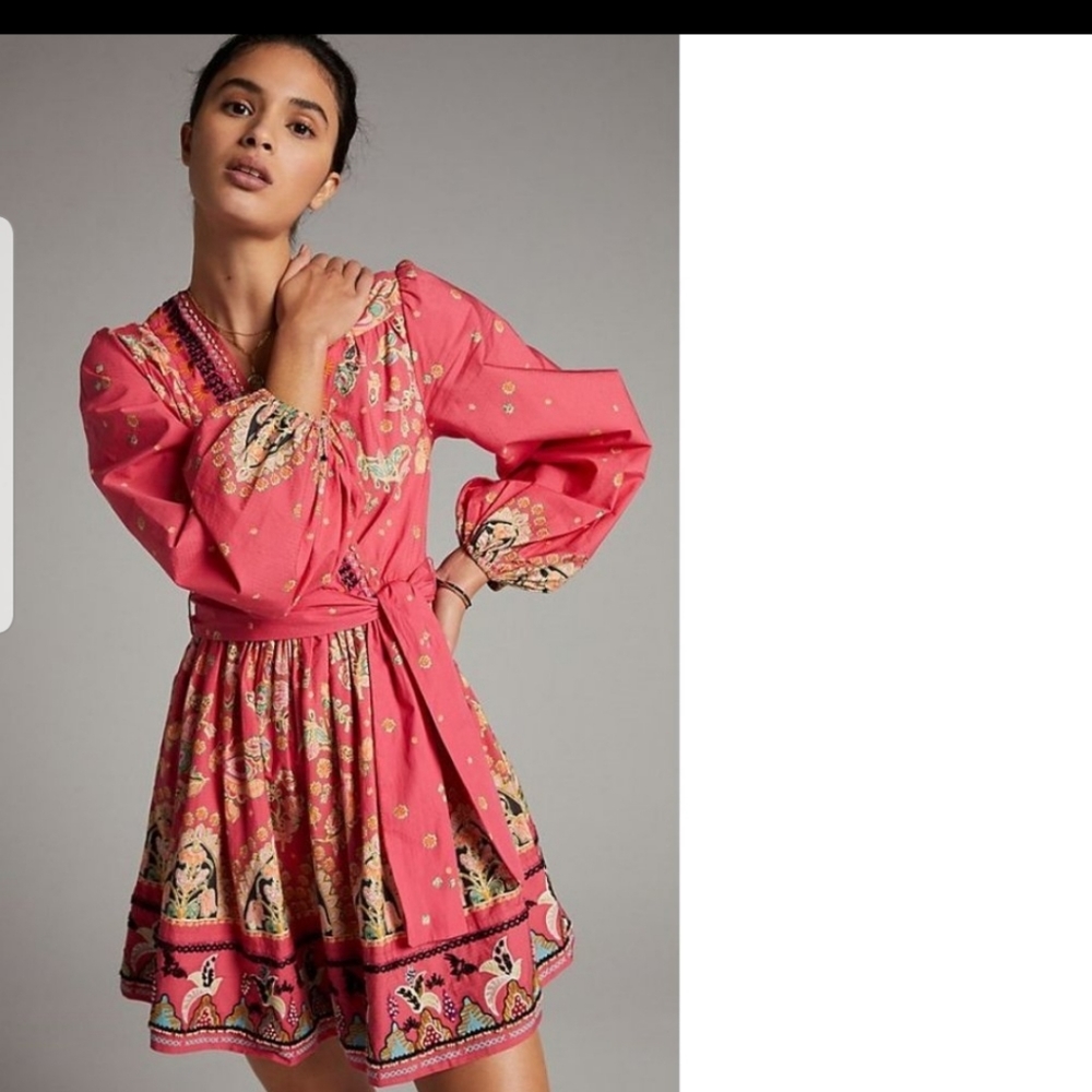#251. Anthropologies Racquel Embroidered Mini Dress - Picture 2 of 6